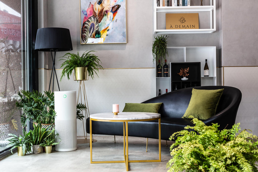 Waarom een luchtbevochtiger onmisbaar is voor jouw gezondheid en huis