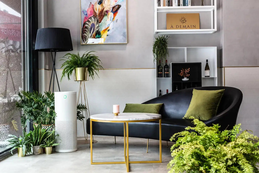 De 5 belangrijkste criteria bij de keuze van jouw luchtreiniger